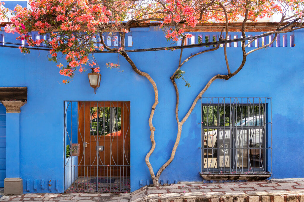 VivvaHomes-Blog-Analizando-Competencia