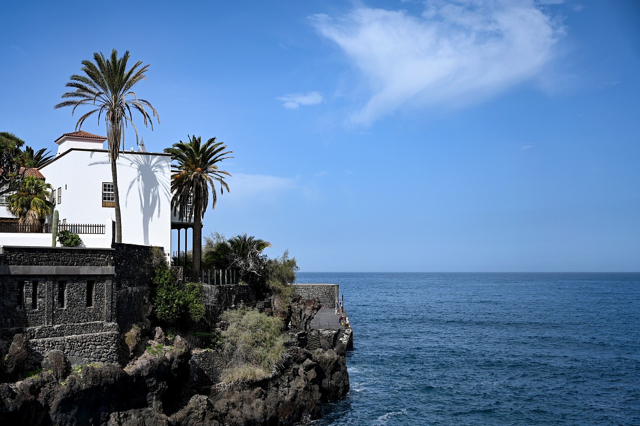 VivvaHomes-Alquiler-Vacacional-Tenerife-Gestión